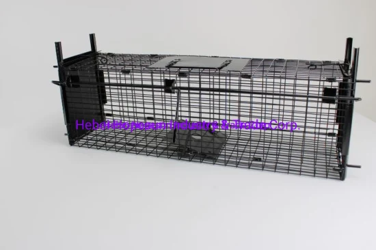 Wildlife Hunting Trap Cages for Rabbit Cat Suqirrel Fox Rat